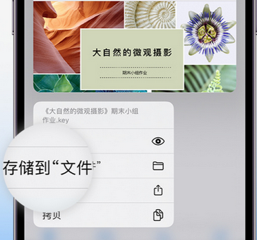 岢岚apple维修中心分享iPhone文件应用中存储和找到下载文件