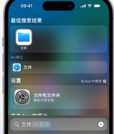 岢岚apple维修中心分享iPhone文件应用中存储和找到下载文件 