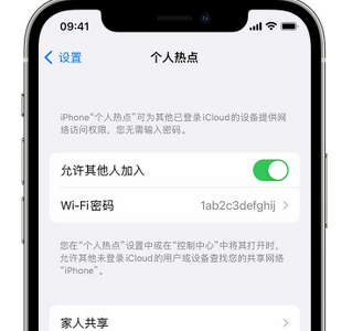 岢岚apple服务站点分享iPhone上个人热点丢失了怎么办 