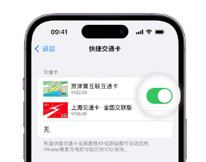 岢岚apple维修点分享iPhone上更换Apple Pay快捷交通卡手绘卡面 