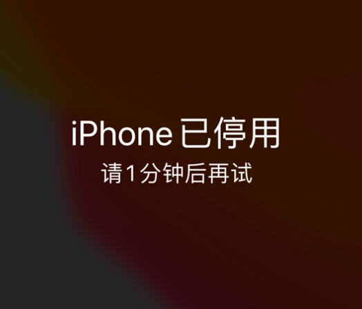 岢岚苹果手机维修分享:iPhone 显示“不可用”或“已停用”怎么办？还能保留数据吗？ 