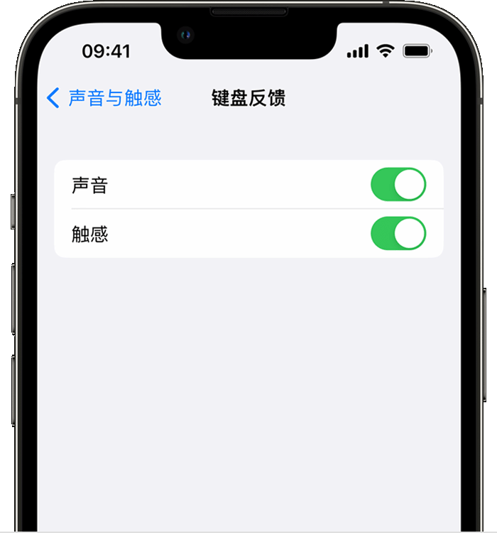 岢岚苹果14维修店分享如何在 iPhone 14 机型中使用触感键盘 