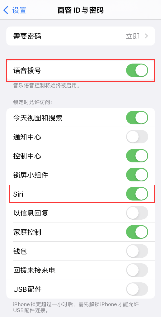 岢岚苹果维修网点分享不解锁 iPhone 的情况下通过 Siri 拨打电话的方法 