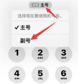 岢岚苹果14维修店分享iPhone 14 Pro Max使用副卡打电话的方法 