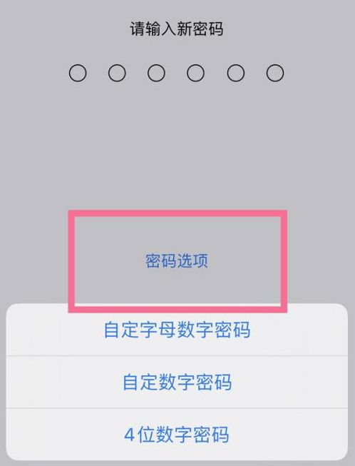 岢岚苹果14维修分享iPhone 14plus设置密码的方法 