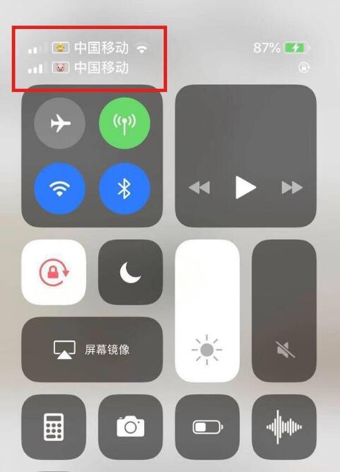 岢岚苹果手机维修分享为 iPhone 12 双卡设置标签 